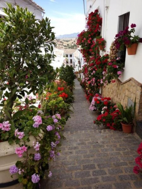 Casa de las Flores - a picture perfect location!